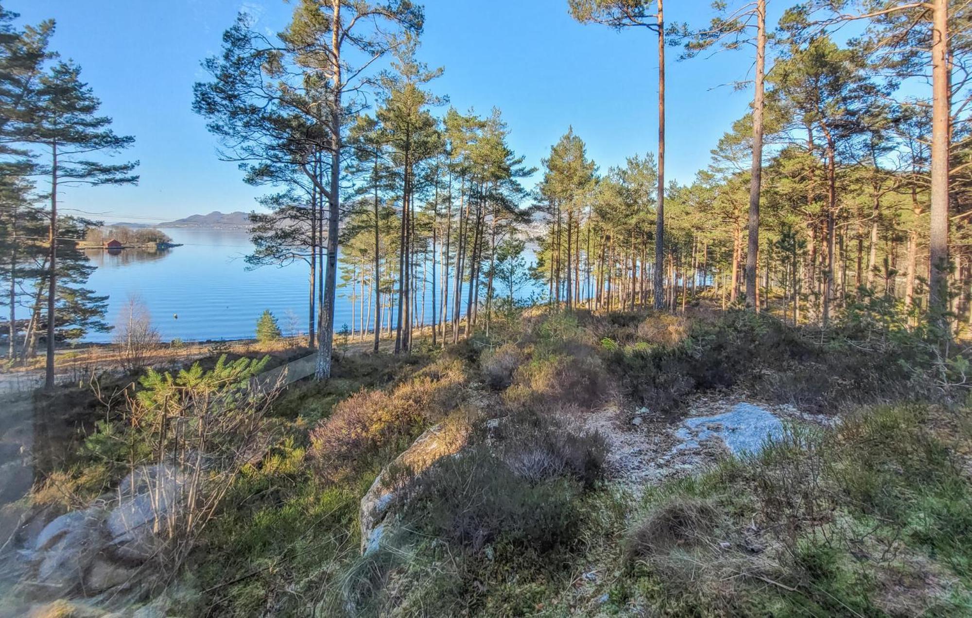 Gorgeous Home In Jorpeland With House Sea View エクステリア 写真
