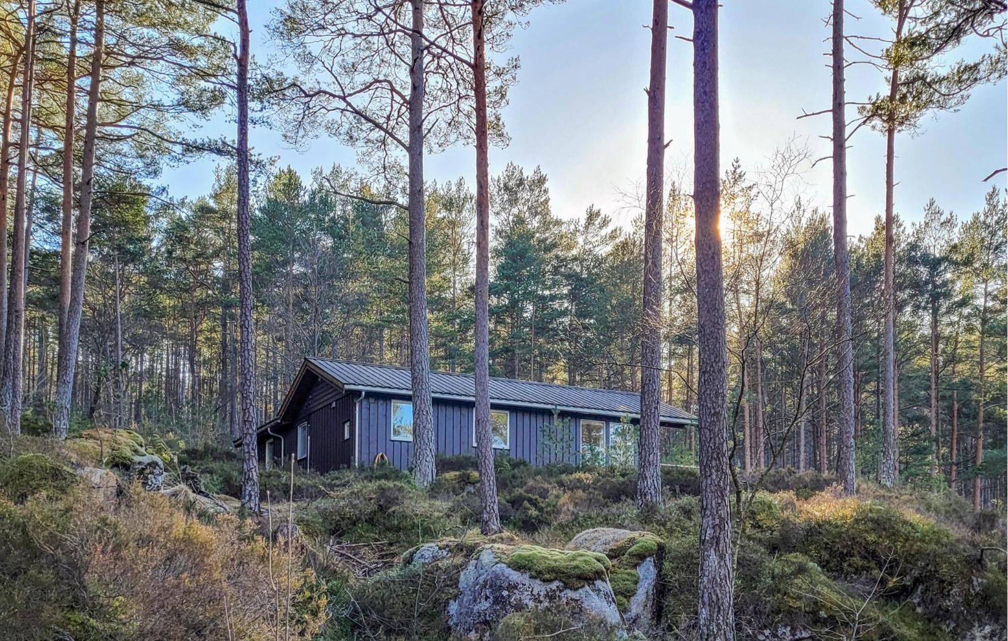 Gorgeous Home In Jorpeland With House Sea View エクステリア 写真